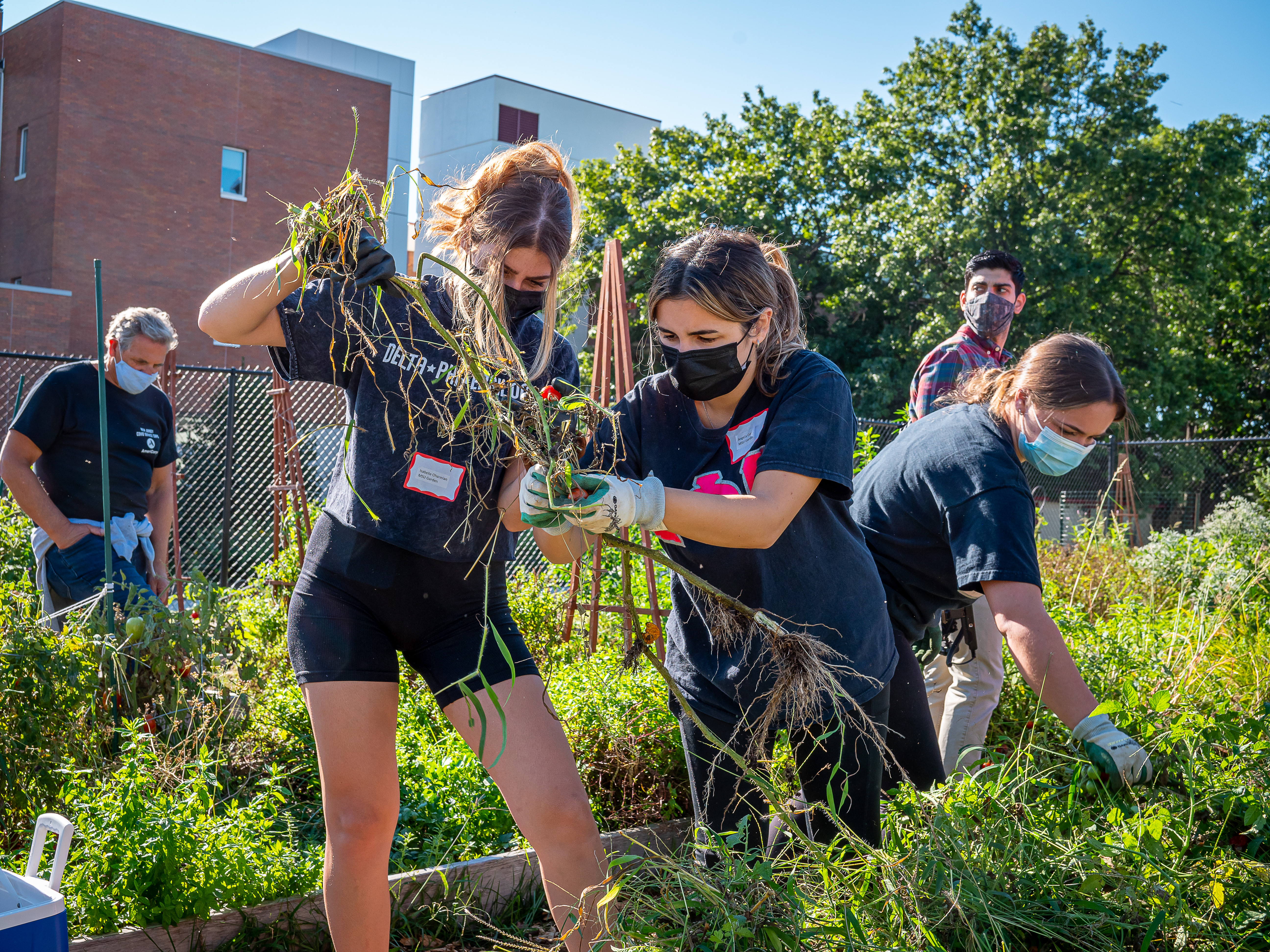Student gardeners helping each other weed garden beds on the 2021 Day of Service.