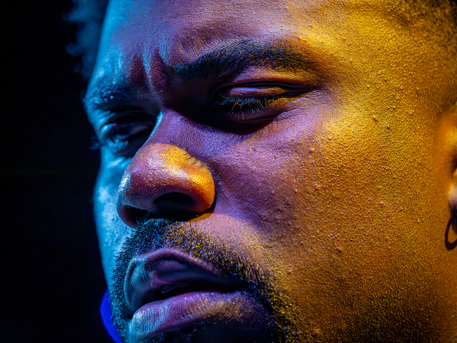 The Harvest - photo by John La Rosa