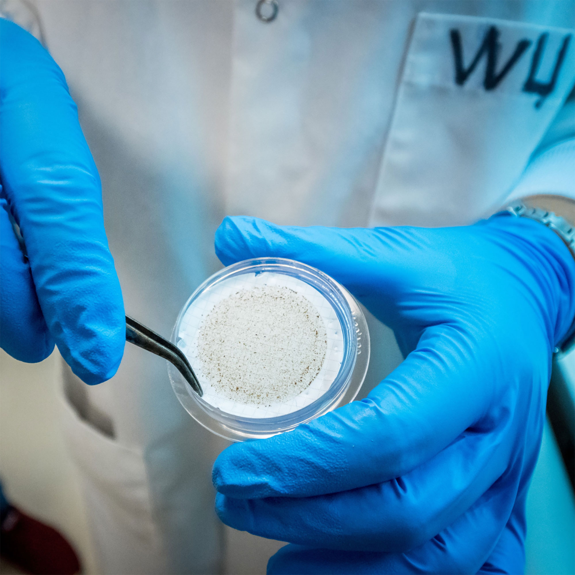 Total Coliforms And E. Coli New Jersey Center For Water Science And Technology Montclair