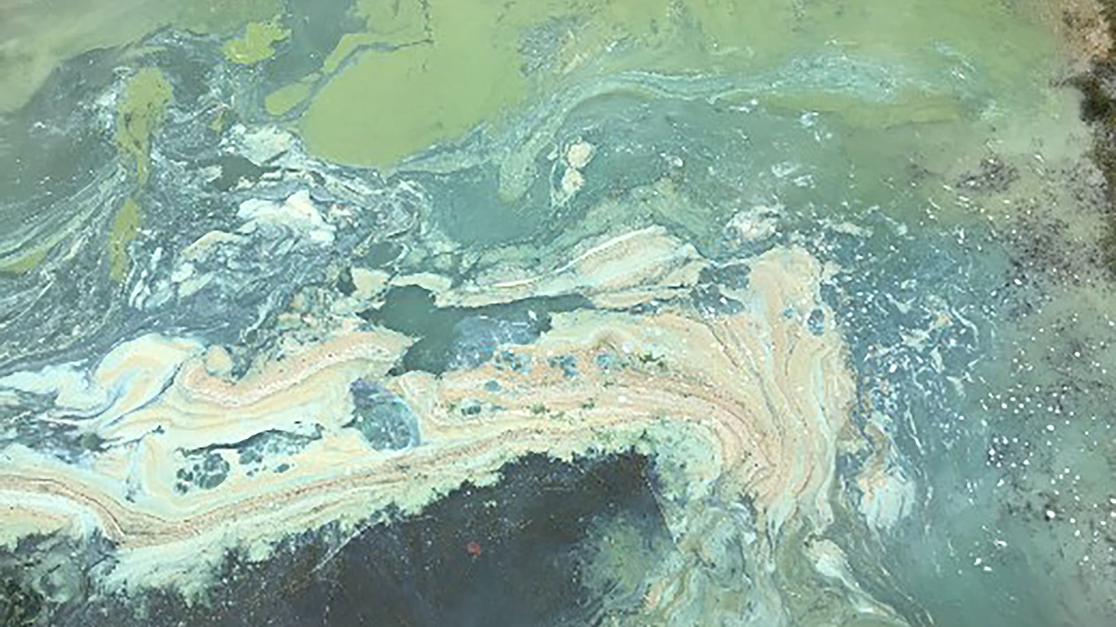 New Jersey Center For Water Science And Technology Montclair State