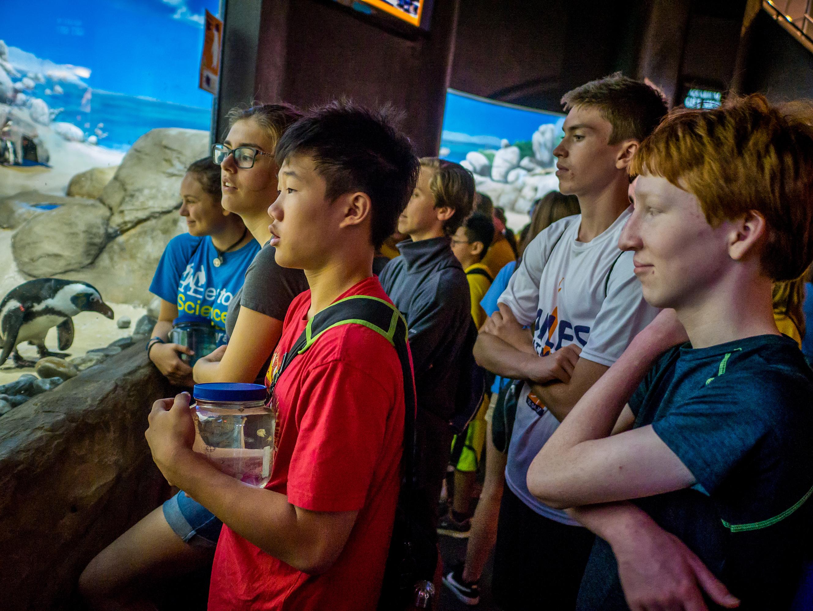 Weston students at Jenkinson's Boardwalk Aquarium penguin exhibit with Dr. Paul Bologna